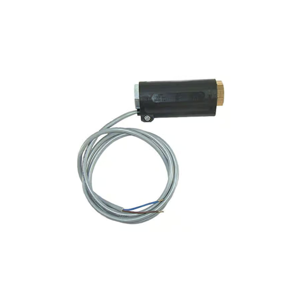 Flow Switch